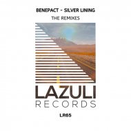 Benepact  - Silver Lining