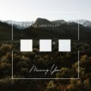 The Ambientalist - Missing You
