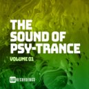 Anti-P.L.U.R - Psy Bugs N\' Hippy Guts (Original Mix)