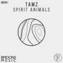 TAMZ - Groundation