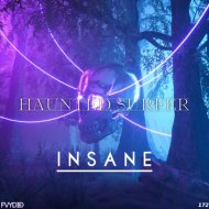 Haunted Surfer - Insane