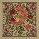 The Krickets - You Didn\'t Come After Me ()