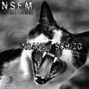 N.S.F.M. - Schizo (Original Mix)
