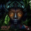 Apach - Idinii ()