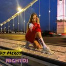 Dj Meros - Night Dj (Original Mix)