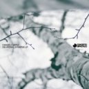 Dangelo (Arg) - Gravitational Coordinates