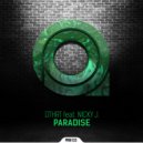 DTHRT & Nicky J - Paradise