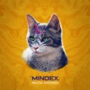 Mindex - Frozen Lake