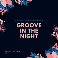 Albert Aponte, Chris Groovejey - The Shaker