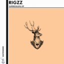 Rigzz - Get Lost (Original Mix)