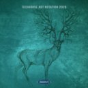 Raumlehre - Excerpt