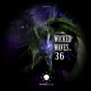 Demek - Parasitic Frequencies
