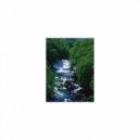 Mindfulness Healing BGM Project - Hippocrates and Self pleasure (Original Mix)