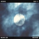 Boskii - Day 17