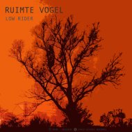 Ruimte Vogel - Mushroom Echo