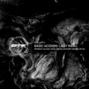 Lady Maru - Basic Acidism (Original Mix)