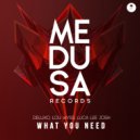 Deluxo, Lou Wyss, Luca Lee Josh - What You Need (Original Mix)