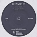 Deep Sort 95 - Tear Drop (Original Mix)