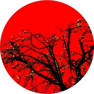 Nunununu - 404
