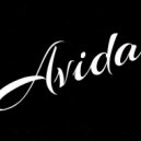 Dj Avida - Promo StandUp mixtape Vol 2
