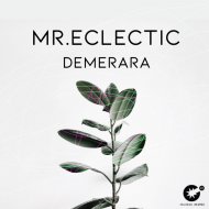 Mr.Eclectic - Demerara