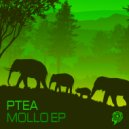 Ptea - Bofelong (Original Mix)