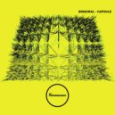 Binaural - Central Line