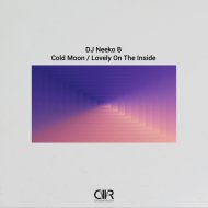 DJ Neeko B - Lovely On The Inside