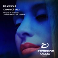 Puresoul - Dream Of You