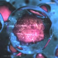 Punshukunshu - I Was Born For You