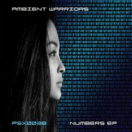 Ambient Warriors - 11112020