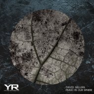 David Sellers - Needs Your Attention