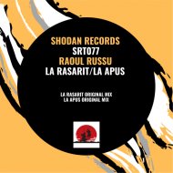 Raoul Russu - La Apus