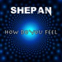 Shepan - How Do You Feel (Dance Movement Radio)
