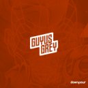 Guyus Grey - Holograms On Acid (Original Mix)