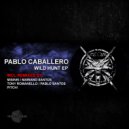 Pablo Caballero - Wild Hunt (Tony Romanello Remix)