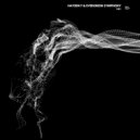 Hayden F - A State of Instability (Evergreen Symphony Remix)