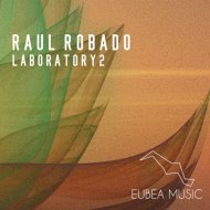 Raul Robado - Laboratory 2