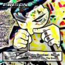 Shahin Shantiaei - Into The Groove (Original Mix)