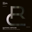 LEVS - Rational Impulses (Original Mix)