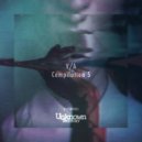 Mal_Hombre - Quest & Entropy
