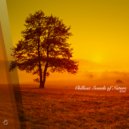 Sonnenburg - Flattering