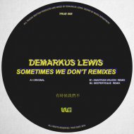 Demarkus Lewis - Sometimes We Don\'t