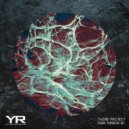 Twins Project - Dark Mirror