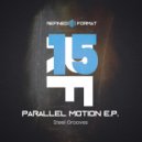 Steel Grooves - Feedback (Original Mix)