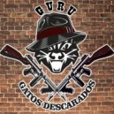 Gatos Descarados - Guru ()