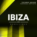 Renaud Genton - Flying Tech Machine