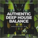 Mario Chris - In The Air (Original Mix)