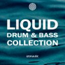 Carmine Rafael Faro - Riverside (Liquid Radio Edit)