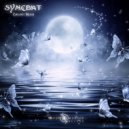 Syncbat - Confusion